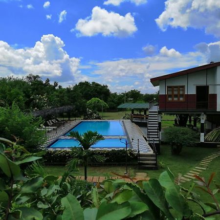 Eco Hotel Black & White - Anuradhapura Mihintale Exterior photo
