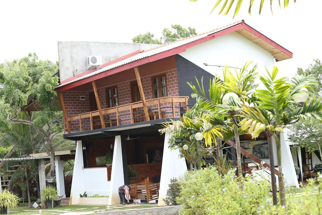 Eco Hotel Black & White - Anuradhapura Mihintale Exterior photo