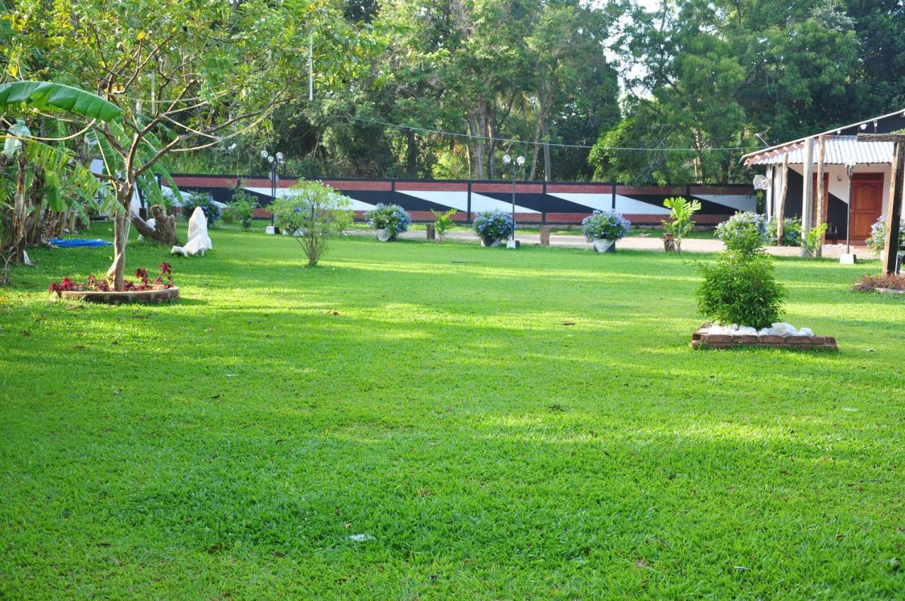 Eco Hotel Black & White - Anuradhapura Mihintale Exterior photo